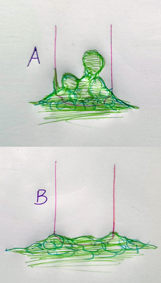 /media/botanical_wonders/dev_art_0.jpg