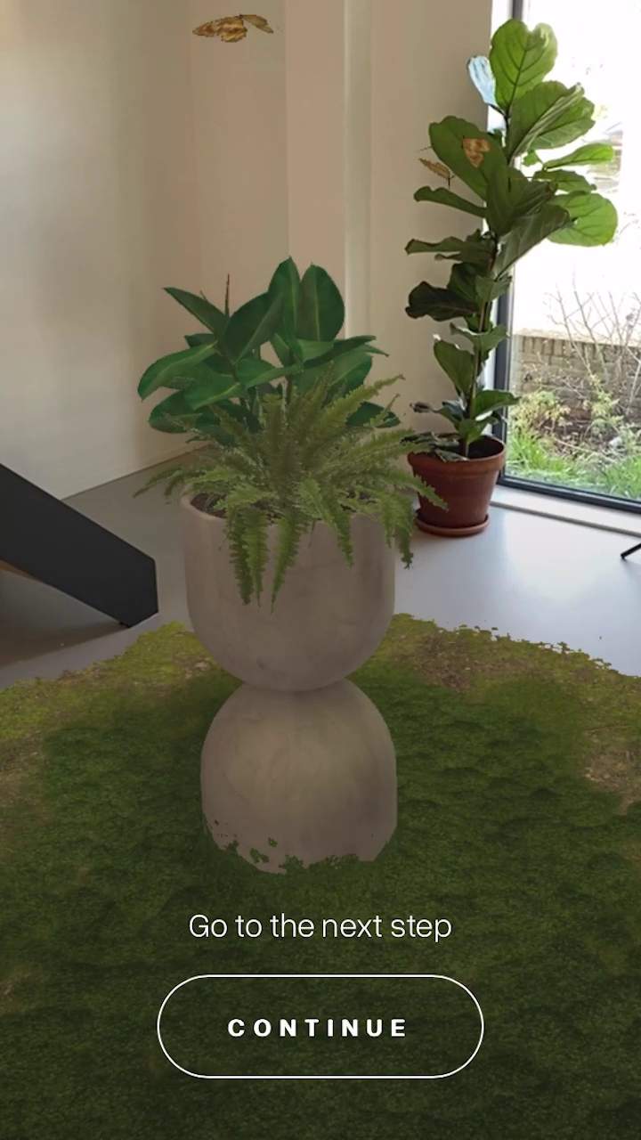 /media/botanical_wonders/grass_moss_grow.jpg